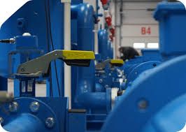 Hydro Funk Records: Wegbereiter der australischen Underground-Hip-Hop- und Funk-Szene